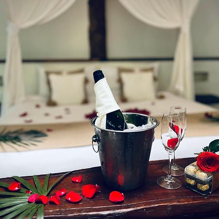 Pepem Holistic Experience - Peaceful Retreat Near Tulum (Adults Only) Villa Luaran gambar