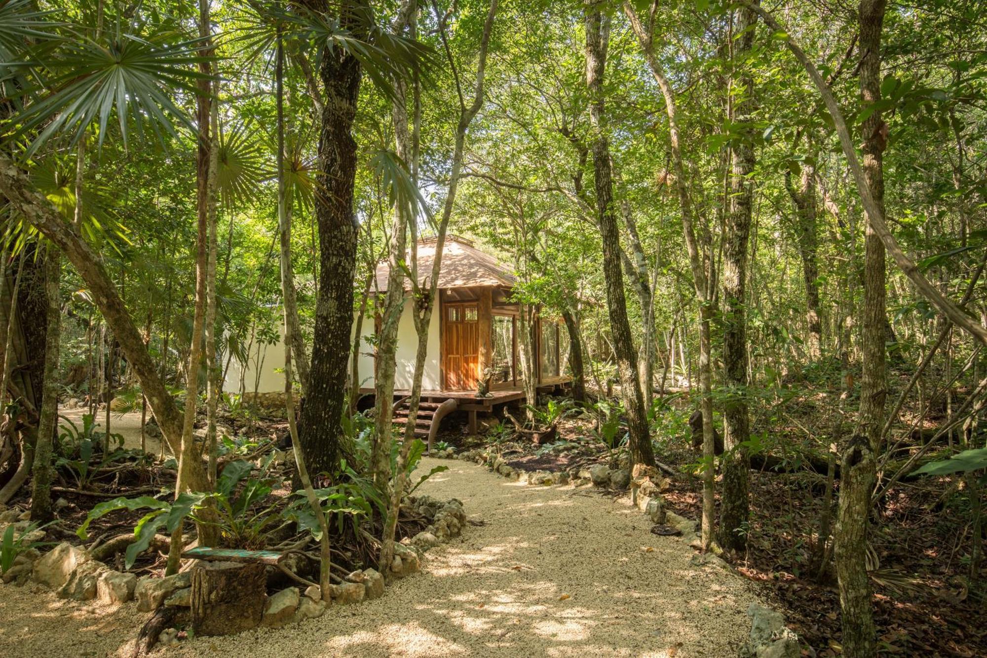 Pepem Holistic Experience - Peaceful Retreat Near Tulum (Adults Only) Villa Luaran gambar