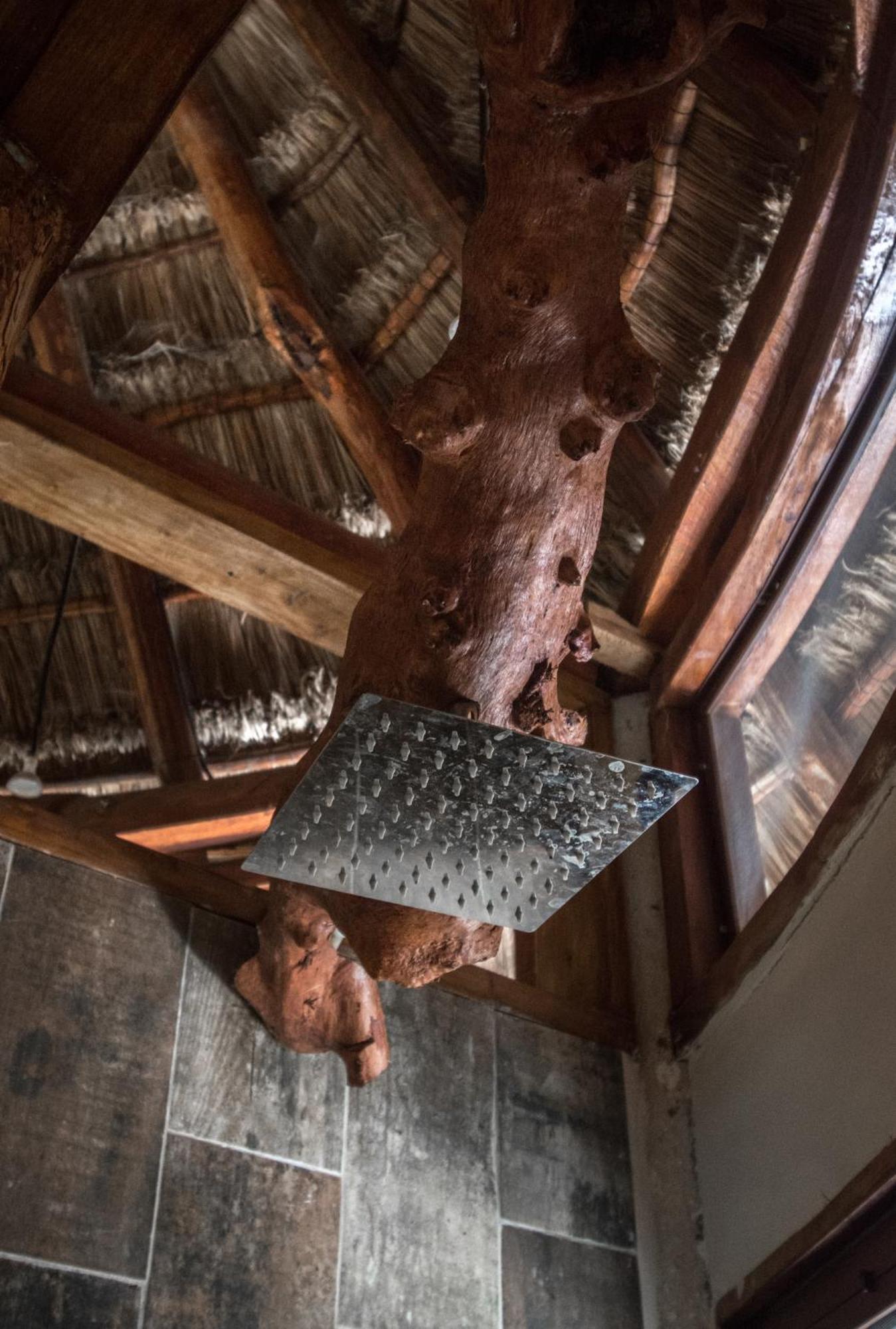 Pepem Holistic Experience - Peaceful Retreat Near Tulum (Adults Only) Villa Luaran gambar