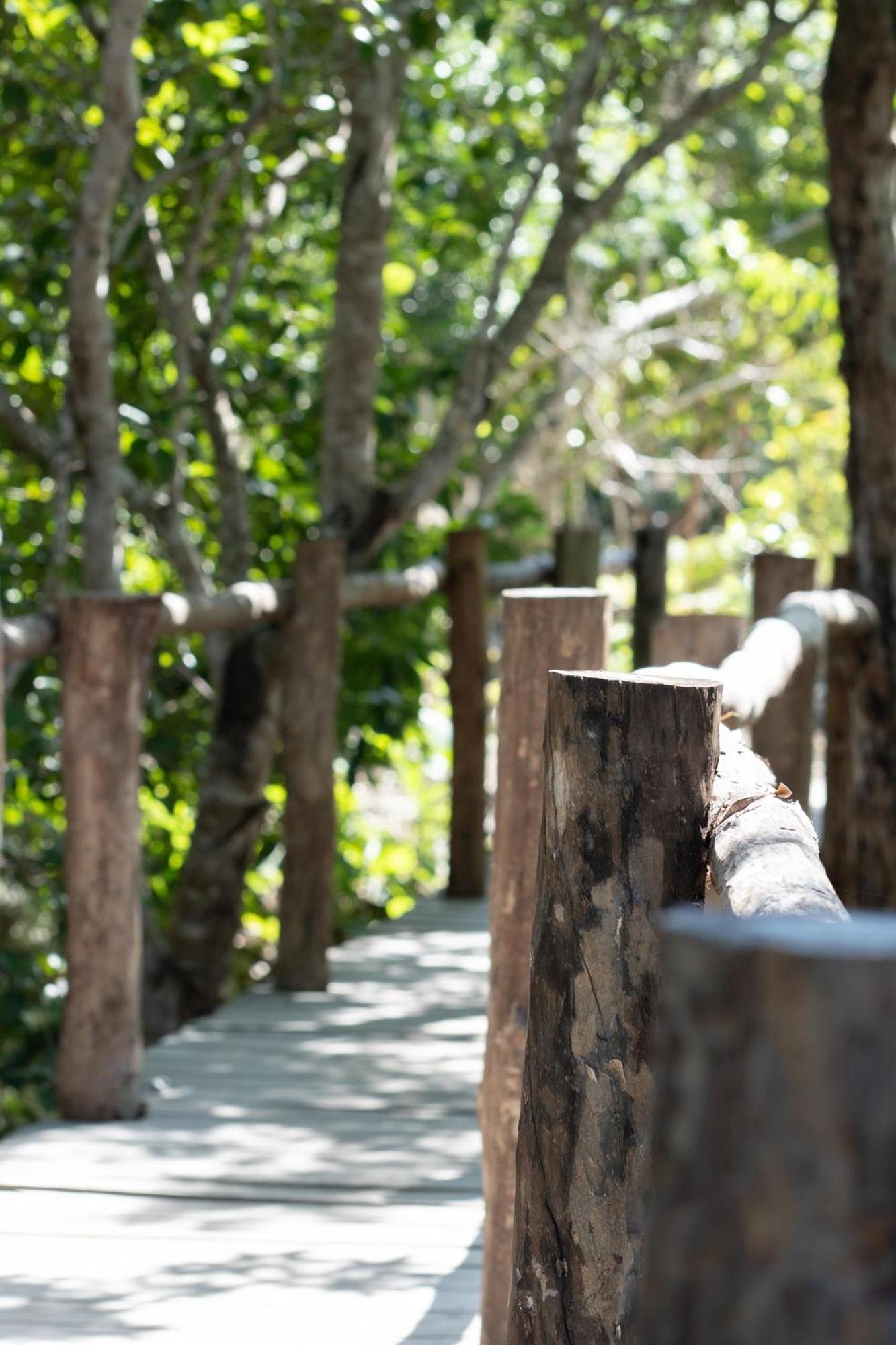 Pepem Holistic Experience - Peaceful Retreat Near Tulum (Adults Only) Villa Luaran gambar