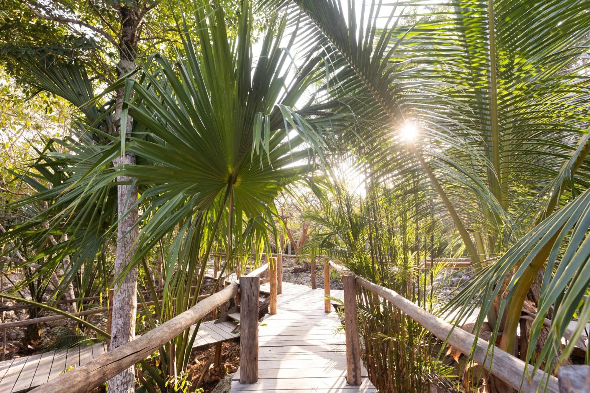 Pepem Holistic Experience - Peaceful Retreat Near Tulum (Adults Only) Villa Luaran gambar